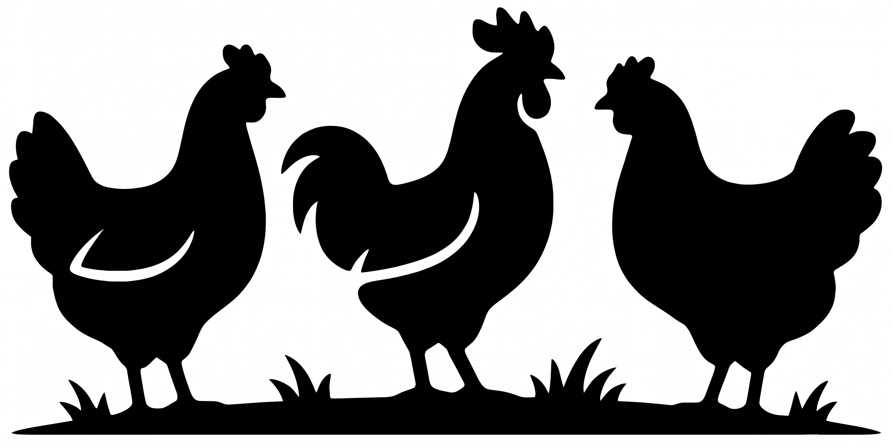 Triple Chicken
